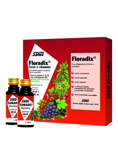 FLORADIX-FERRO 10 FLACONCINI20ML