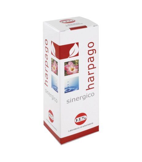 HARPAGO SINERGICO GTT 100ML KOS