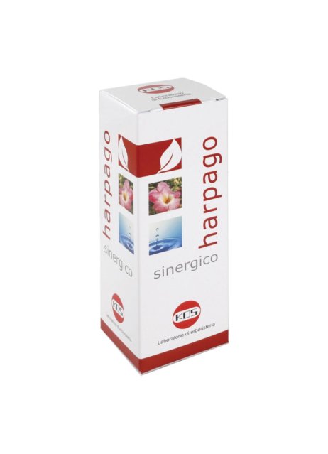 HARPAGO SINERGICO GTT 100ML KOS