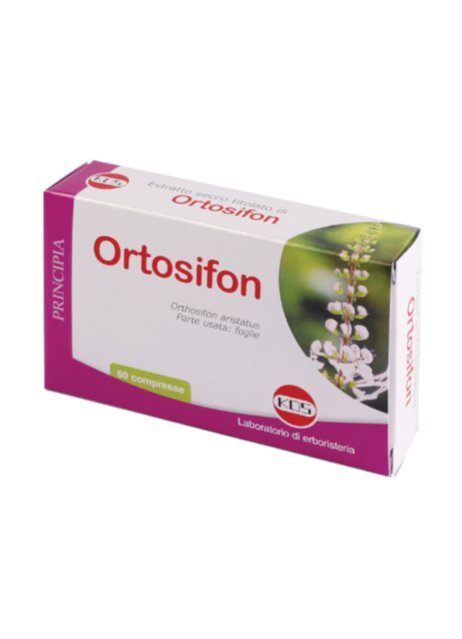 ORTOSIPHON ESTR SEC 60CPR