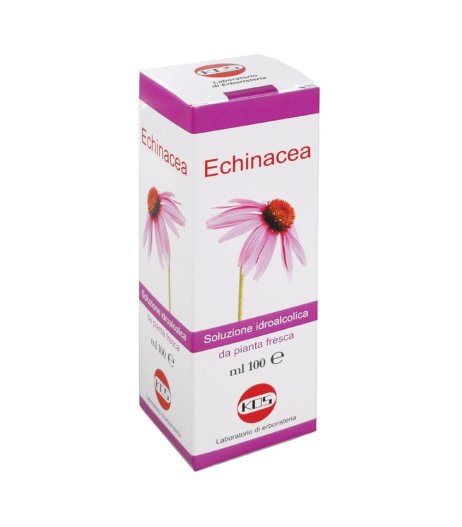 ECHINACEA SOL IAL PIANTA FR100