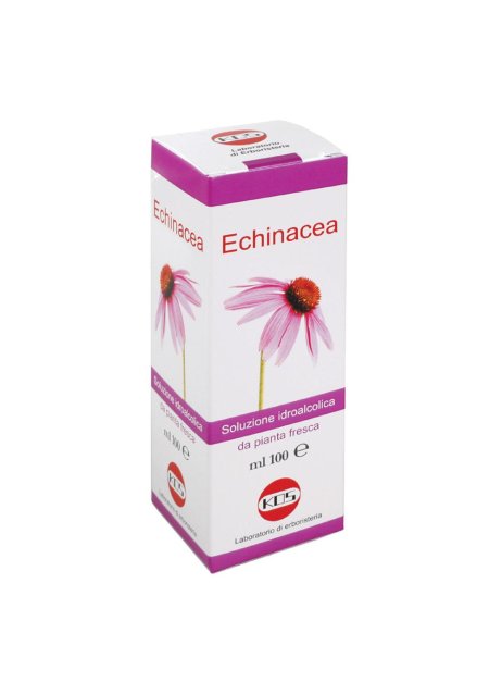 ECHINACEA SOL IAL PIANTA FR100