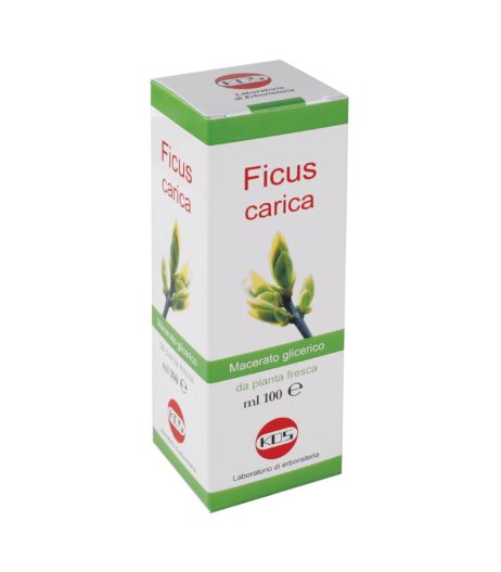 FICUS CARICA MG GTT 100ML KOS