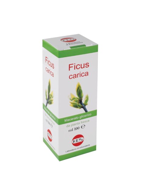 FICUS CARICA MG GTT 100ML KOS