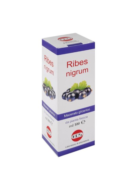 RIBES NIGRUM MG 100ML GTT KOS