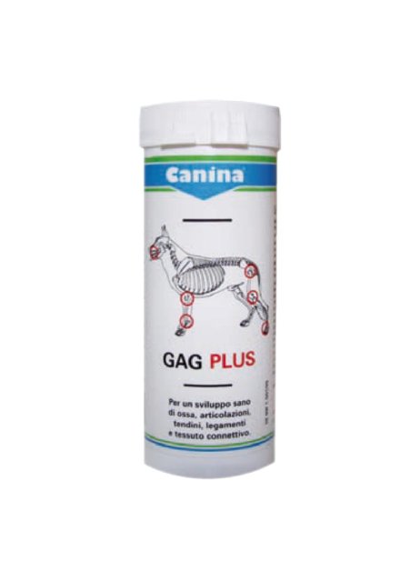 GAGPLUS 100 ca.60 Cpr