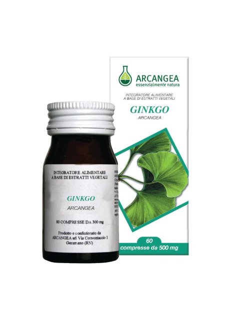 GINKO BILOBA 60CPS 500MG