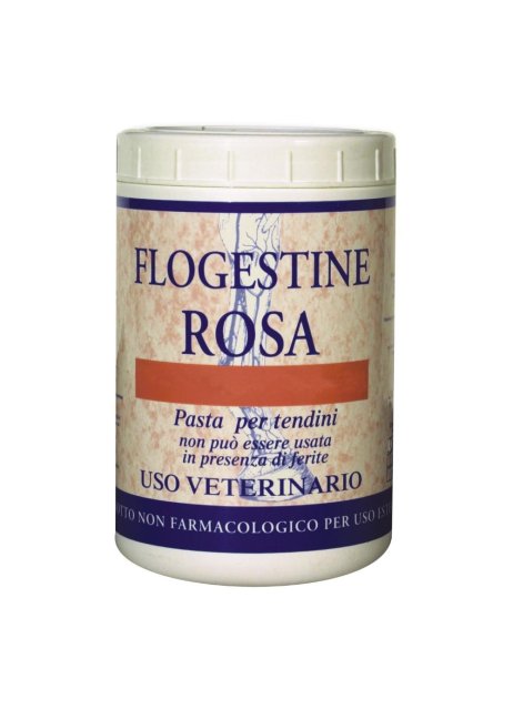 FLOGESTINE ROSA PASTA 1KG