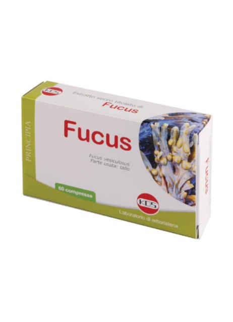 FUCUS ESTR SEC 60CPR