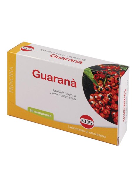 GUARANA E.S. 60CPR 300MG KOS