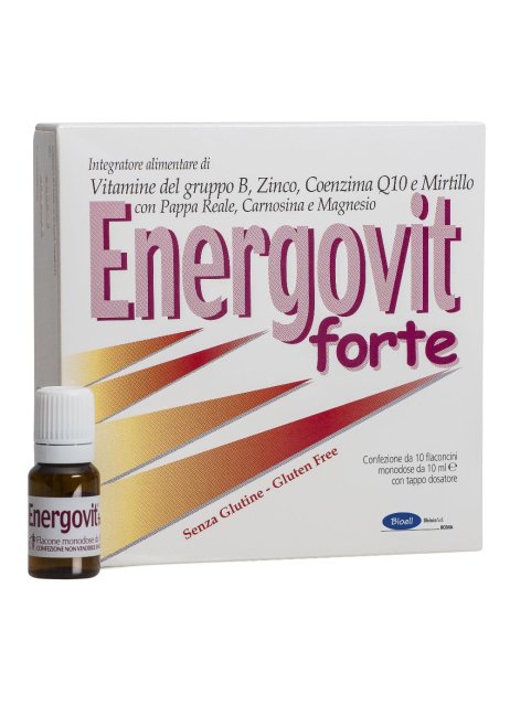 ENERGOVIT FORTE 10FL