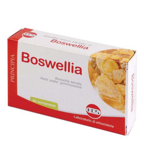 BOSWELLIA ES.SEC 60CPR 24G KOS