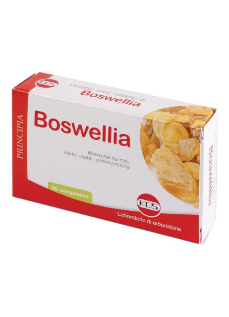 BOSWELLIA ES.SEC 60CPR 24G KOS