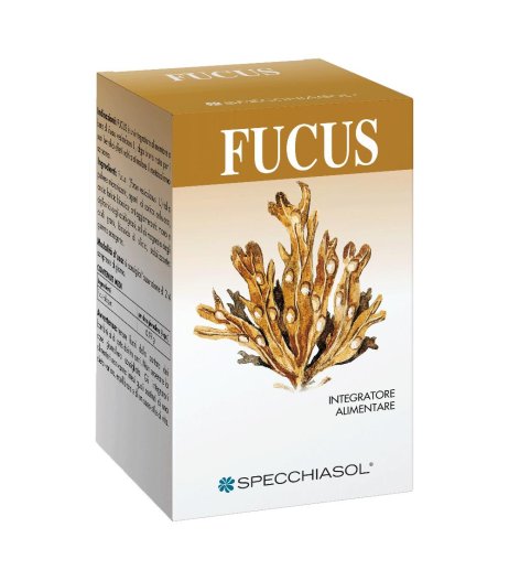 FUCUS ERBE 150TAV SPECCH