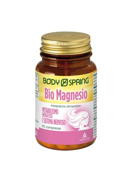 BS BIO MAGNESIO 60CPR 1100MG