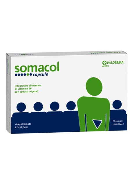 SOMACOL INTEG 20 CPS