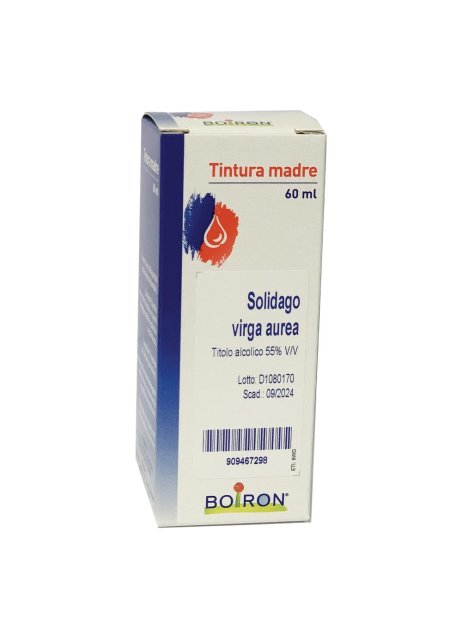 BO.SOLIDAGO VIRGA AUREA 60ML T