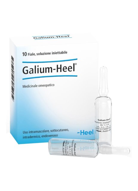 GALIUM 10FL HEEL