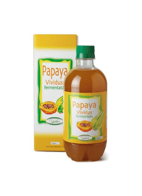 PAPAYA FERMENT INTEG.500ML VIV