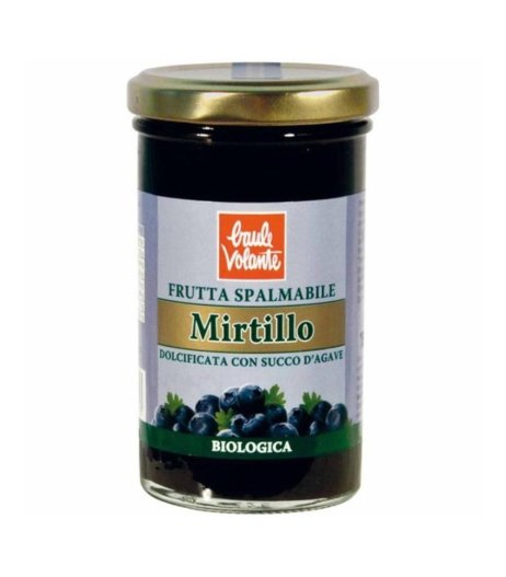 FRUTTA SPALMAB MIRTILLO 280G