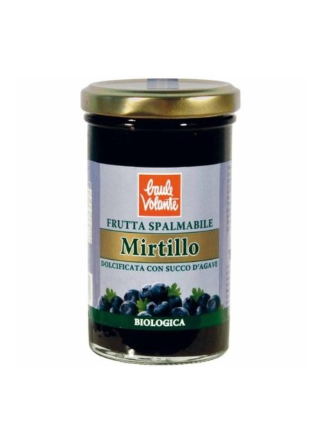 FRUTTA SPALMAB MIRTILLO 280G