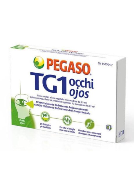 TG1 OCCHI GTT OCUL 10FL MON0,5