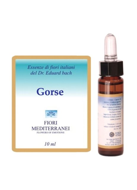 GORSE FIORI MEDITER 10ML