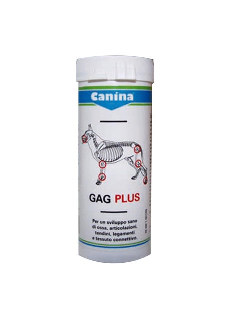 GAGPLUS 200g ca.120 Cpr