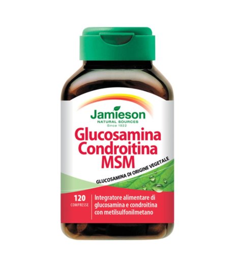 GLUCOSAMINA CONDROIT MSM120CPR