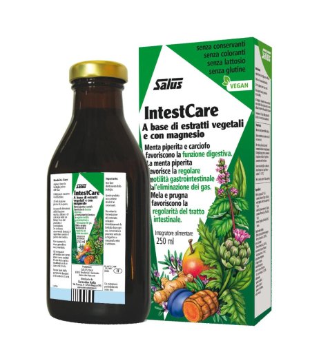 INTESTCARE LIQUIDO 250ML