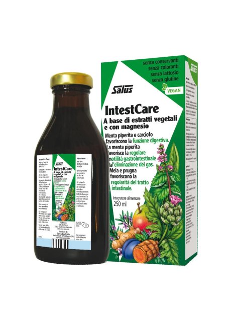 INTESTCARE LIQUIDO 250ML