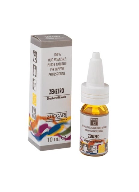 OLIO ESS NAT ZENZERO 5ML