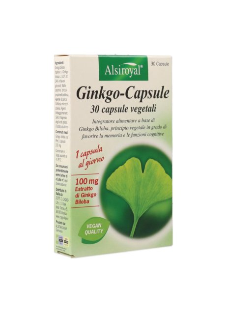 GINKGO CAPSULE 30CPS