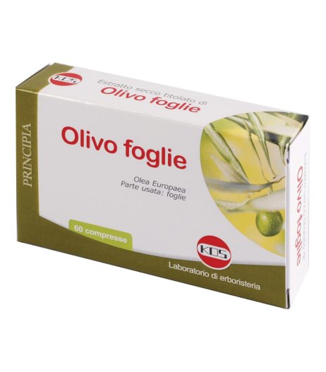 OLIVO FOGLIE ESTR SEC 60CPR