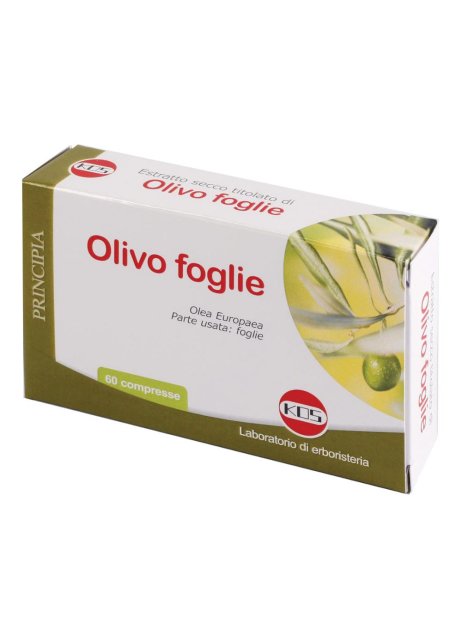 OLIVO FOGLIE ESTR SEC 60CPR