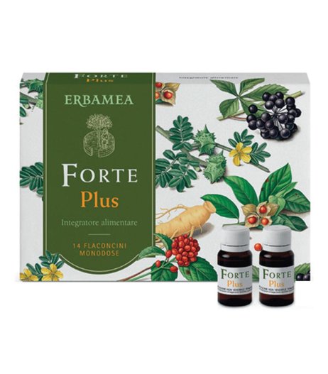 FORTE PLUS 14FL DA 10ML S/GL ERB