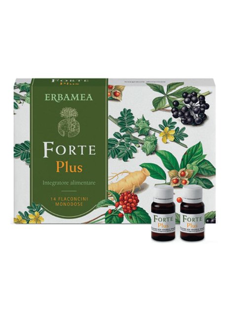 FORTE PLUS 14FL DA 10ML S/GL ERB