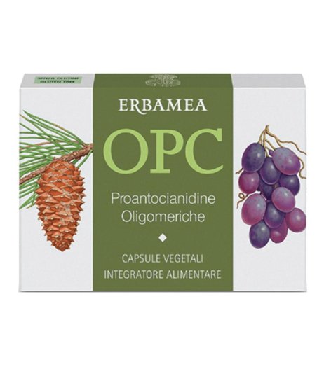 OPC 24CPS VEG S/GL 500MG ERBAMEA