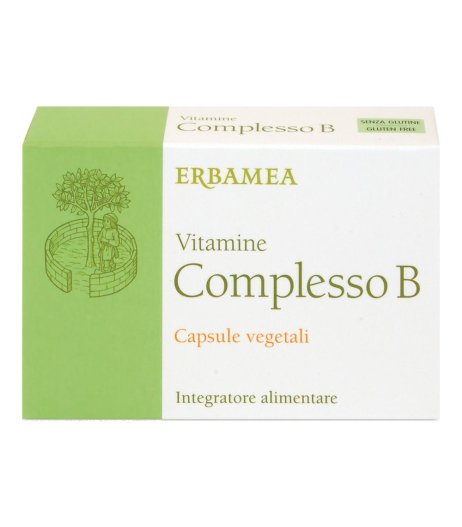 VITAMINE COMPLES B 24CPS VEG