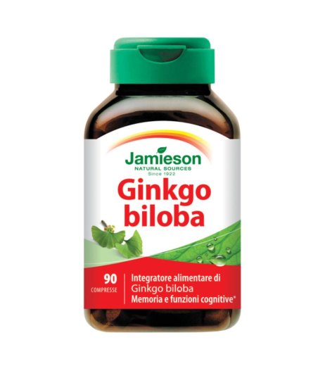 GINKGO BILOBA 120 TM 90CPR