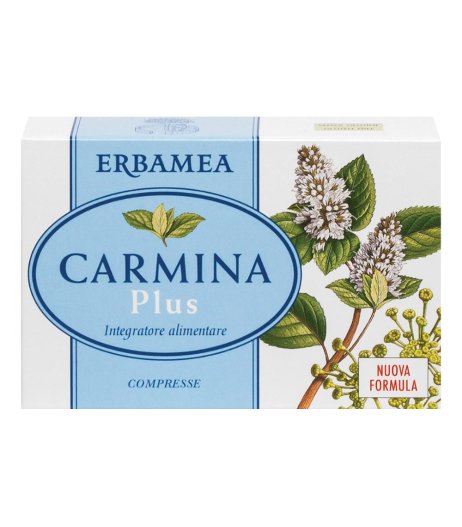 CARMINA PLUS 24CPR 800MG ERBAMEA