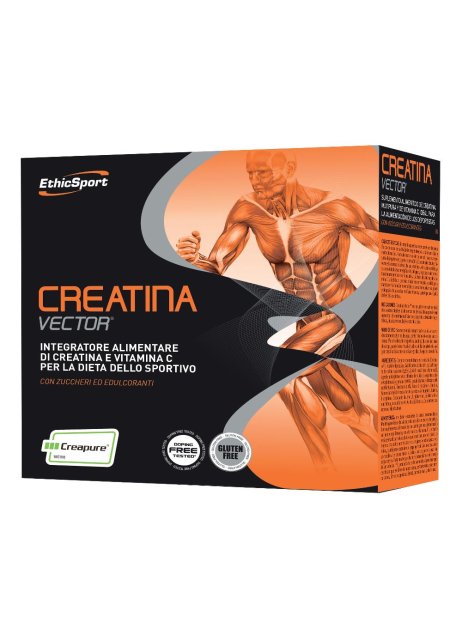 CREATINA VECTOR 20BUST 8G