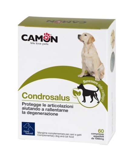 CONDROSALUS ORME NAT 60CPR