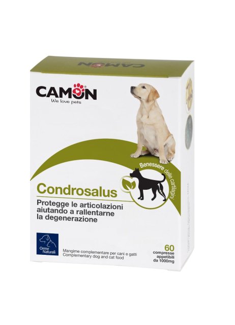 CONDROSALUS ORME NAT 60CPR