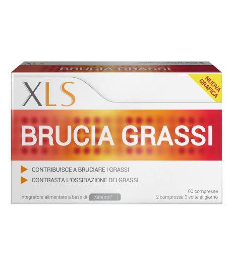 Xls Brucia Grassi 60cps
