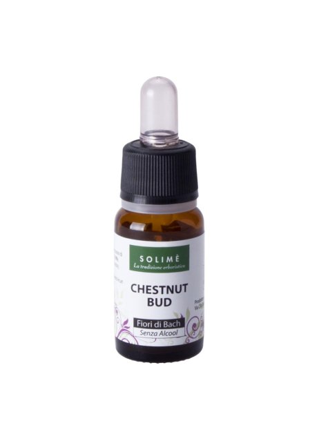 CHESTNUT BUD 10ML