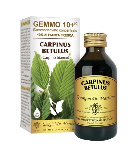 CARPINO BI 100ML ANALCO GEM10+