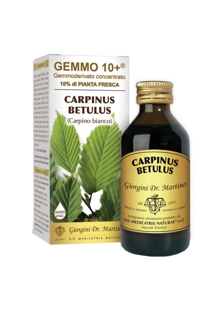 CARPINO BI 100ML ANALCO GEM10+