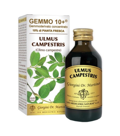 OLMO CAMP 100ML ANALCO GEM 10+