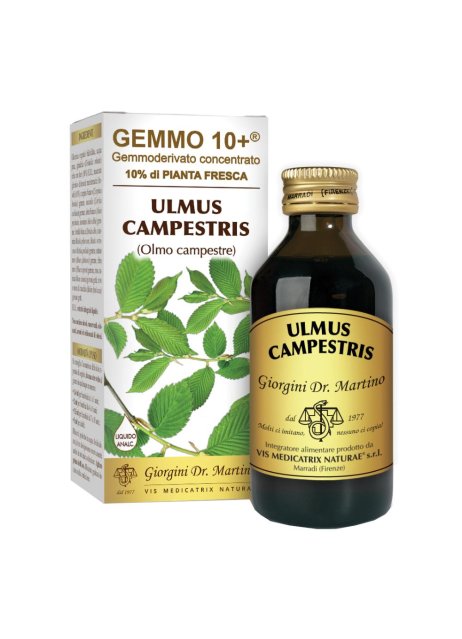 OLMO CAMP 100ML ANALCO GEM 10+